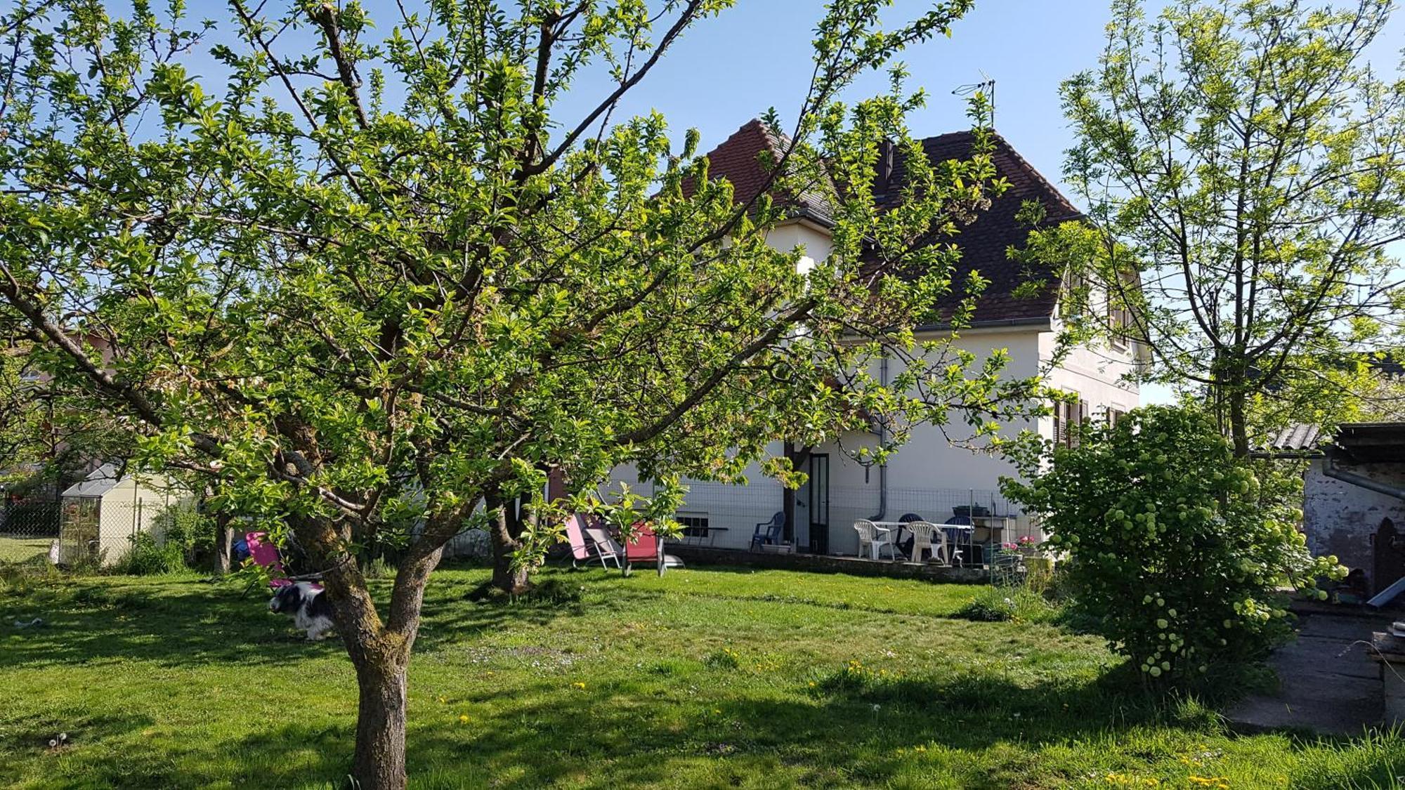 Maison Les 3 Roses Wolfisheim 외부 사진